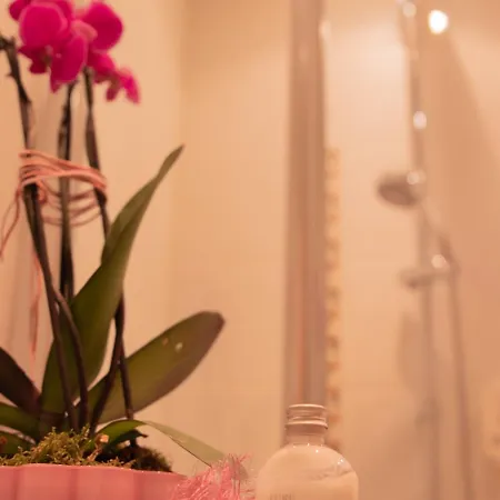 Zimmerbraeu Saint Wolfgang