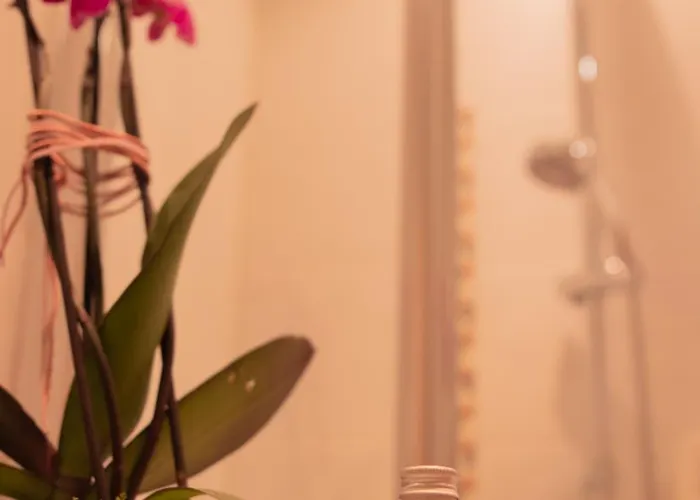 Zimmerbrau Sankt Wolfgang im Salzkammergut